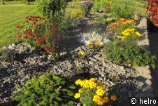 blumen,garten