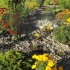 blumen,garten