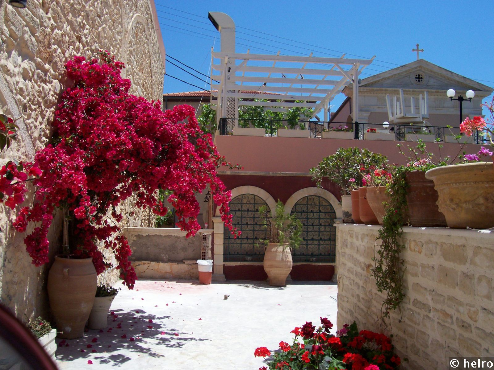 blumen,haus,urlaub
