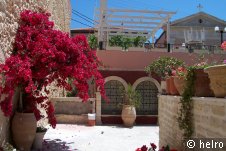 blumen,haus,urlaub