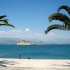 palmen,meer,alcatraz