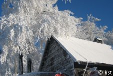 schnee,winter,hütte