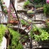 treppen,blumen