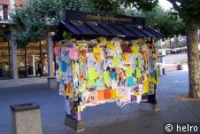 zettel,plakate,studenten